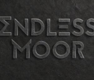 ENDLESS MOOR